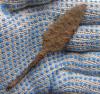 DSC09042.JPG