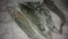 201602131479.jpg