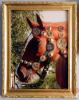 DSCN5308.JPG