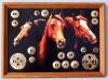 DSCN5318.JPG