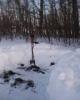 IMG0005A.jpg