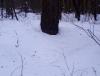 IMG_20190205_112826.jpg