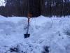 IMG_20190205_114005.jpg