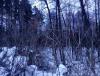 IMG_20190205_112357.jpg