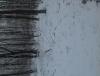 20190222_1540181.jpg