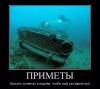 примета.jpg