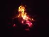 DSC02564.JPG