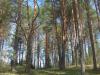 SDC13023.JPG