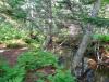 DSC00027.JPG