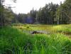 DSC00034.JPG