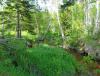 DSC00026.JPG