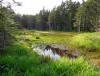 DSC00033.JPG