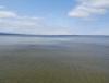 DSC00013.JPG