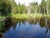 DSC00031.JPG