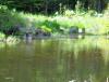 DSC00008.JPG