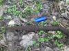 IMG-20190318-WA0044.jpeg