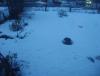DSC06980.JPG