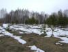 DSC06977.JPG