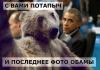 WyRr9wuf4B8.jpg