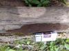 IMG-20180418-WA00001.jpeg