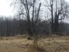 DSC06189.JPG