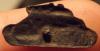DSCN3353.jpg
