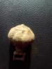 IMG-20190411-WA0066.jpg