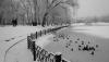 P_20200111_115515_1.jpg
