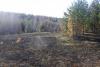 DSC09213.JPG