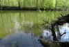 DSC01874.jpg