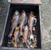 DSC01882.jpg