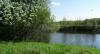 DSC01867.jpg