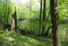 DSC01868.jpg