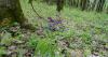 DSC01877.jpg