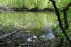 DSC01870.jpg