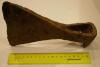 P5160005.JPG