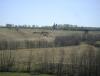 DSC06226.JPG