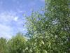 DSC06242.JPG