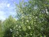 DSC06241.JPG