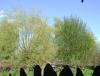 DSC06262.JPG