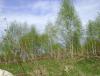 DSC06253.JPG