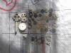IMG-20190506-WA0052.jpeg