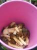 IMG_20200501_104949.jpg