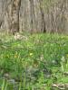 IMG_20200501_103404.jpg