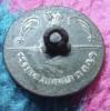 IMG_20260516_074237.jpg