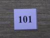 101.jpg