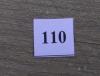 110.jpg