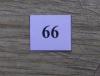66.jpg