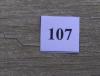 107.jpg