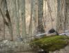 DSC09754.JPG